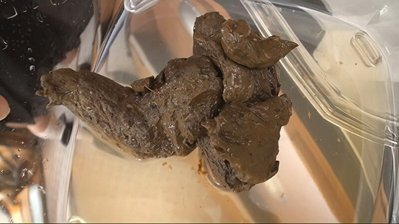 「【素人美女】恥じらい脱糞・放尿プレイ動画｜羞恥プレイ好き必見のスカトロ作品」のサンプル画像15枚目